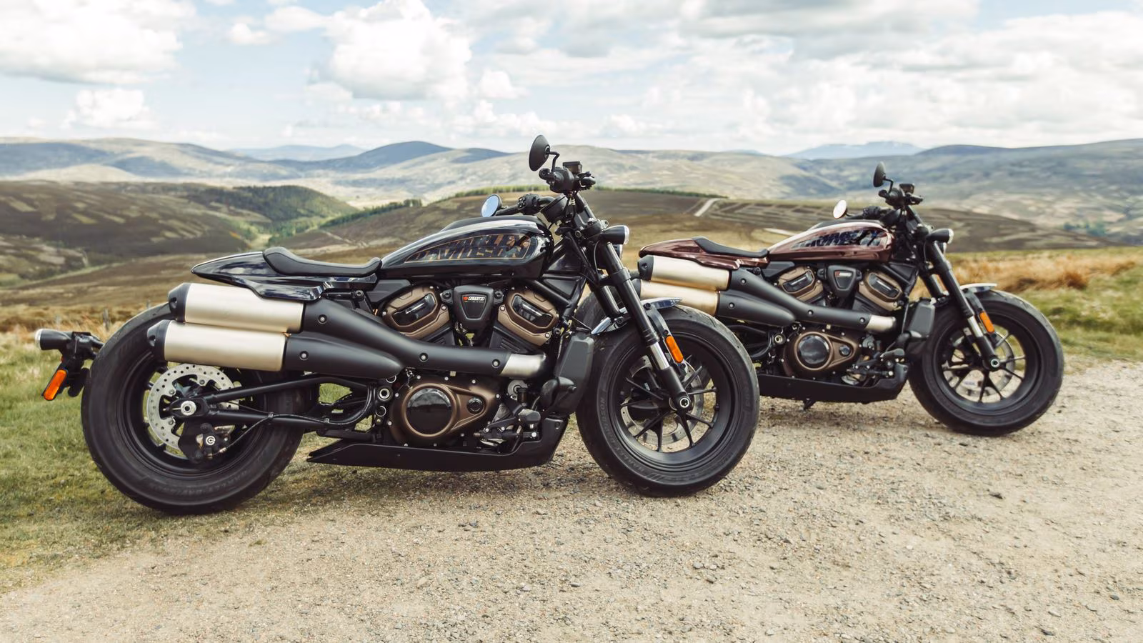 2024 Harley Davidson Sportster S STD image