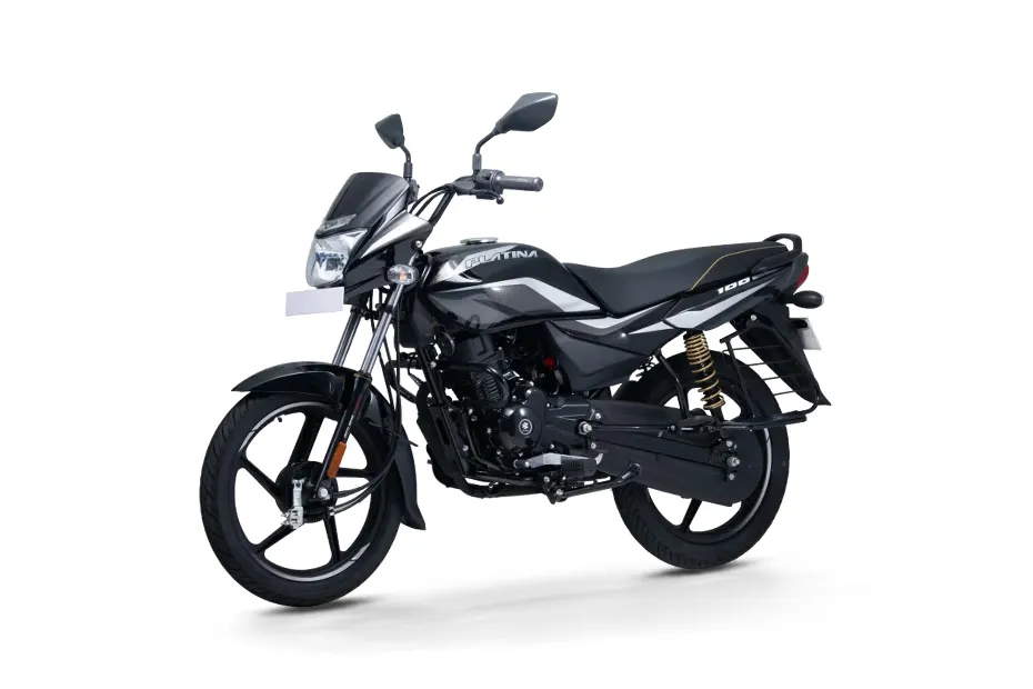 Bajaj Platina 100