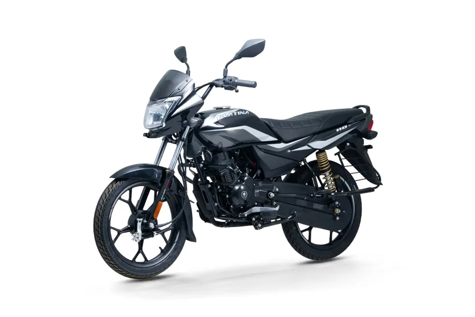 Bajaj Platina 110 Grey